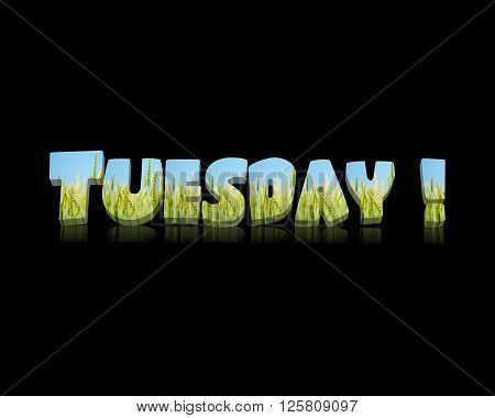 tuesday - 3d word with reflectiion !