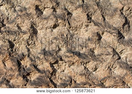 profiled wall of sandstone - texture to background