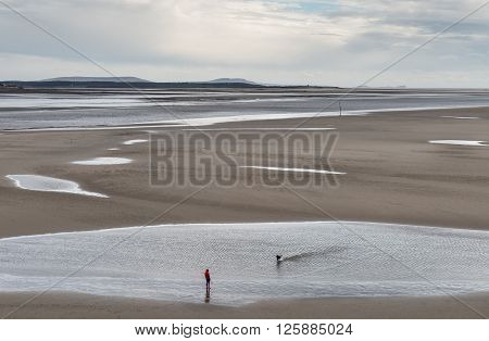 A woman out walking her dog on a windy day whilst the tide is out on the Tywi Estuary, one of the three estuaries that open out in to Carmarthern bay in Wales.