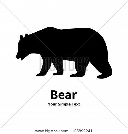 Vector illustration of a wild predator animal. Isolated bear silhouette on a white background.