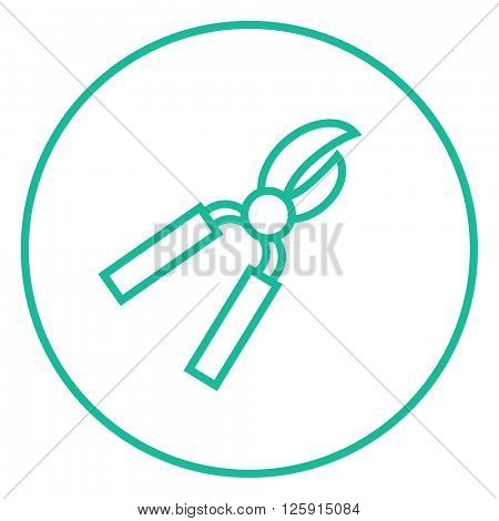 Pruner line icon.