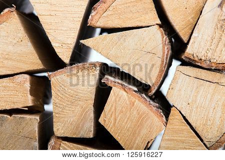The Birch Fire wood isolated on white