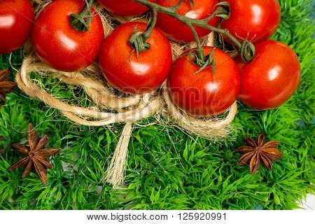 closeup photo branch of fress ripe cherry tomatoes on green grass anise stars summer vegetables food photography