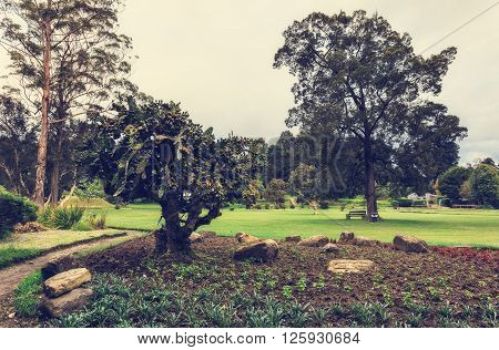 Nuwara Eliya, Sri Lanka. Queen Victoria Park. Victoria Park is located in the heart of the alpine resort of Nuwara Eliya - the 