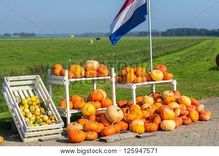 Flevoland the Netherlands - October 2 2011: pumpkins for sale in the countryside