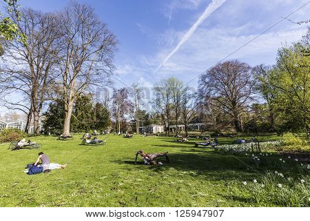 People Enjoy Relaxing In The Outdoor Area Of The  Palmengarten In Frankfurt.
