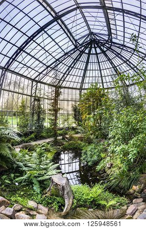 Beautiful Tropical  Exhibition In Palmengarten In Frankfurt