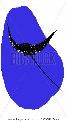 Spotted eagle ray near coral reef vector