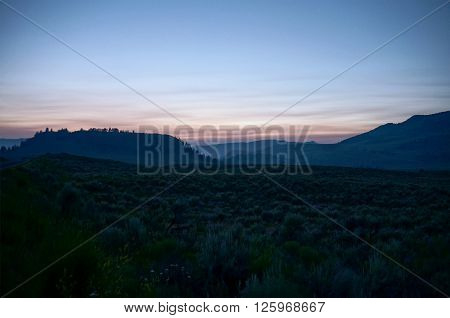 A hilly landscape was photographed in the dusk. The plants and hills contain bluish colors which creates a spooky mysterious atmosphere. The effect is increased by the blurred plants in the foreground.