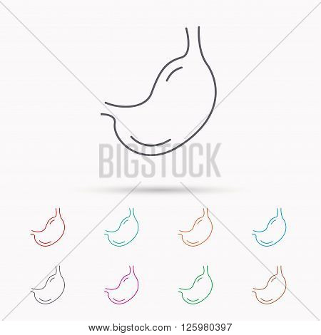 Stomach icon. Gastroscopy health sign. Anatomical body organ symbol. Linear icons on white background.