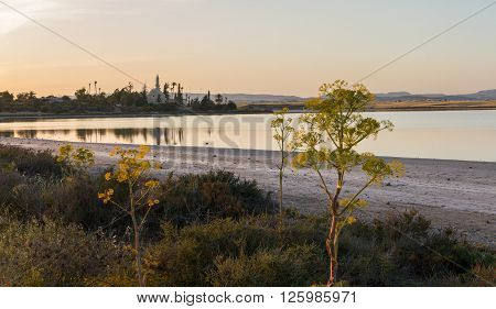 Larnaca Salt Lake With Hala Sultan Tekke In The Background