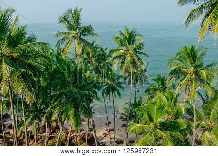 Sea View From Hidden Beach With Palms Near Agonda Beach, Goa State, India
