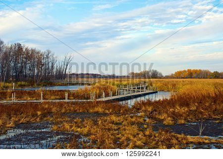 Autumn Landscape with a view of Horicon Marsh Wisconsin