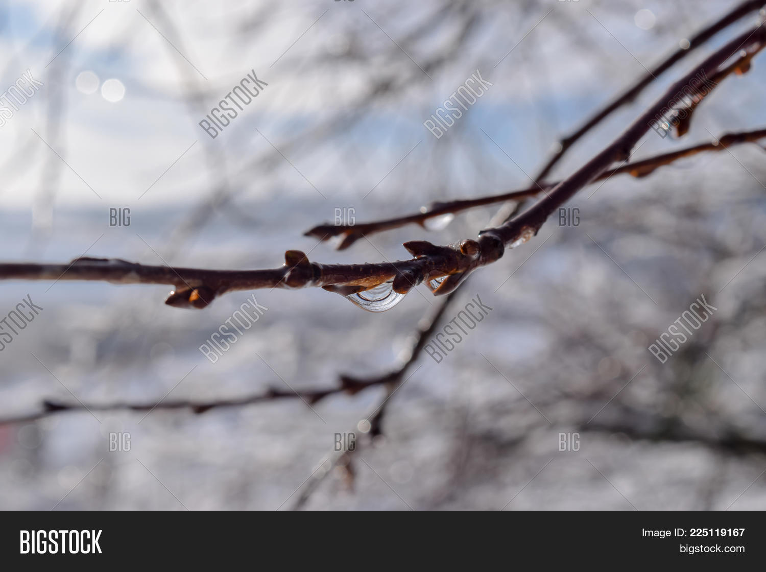 Image Preview