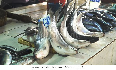 Fresh fish in Asian market. Sale of fresh sea fish in the Asian public store. Sea fish lying on the shopboard at one of the street markets. Philippines.