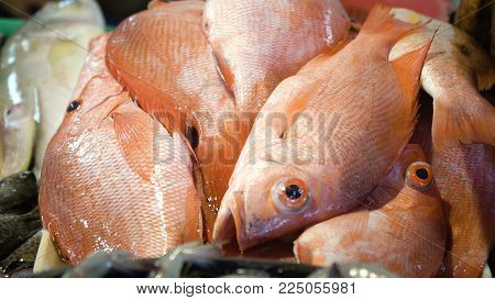 Fresh fish in Asian market. Sale of fresh sea fish in the Asian public store. Sea fish lying on the shopboard at one of the street markets. Philippines.
