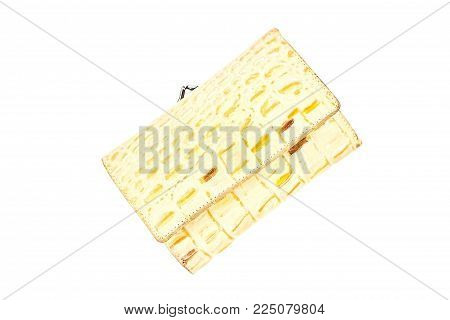 Wallet isolated on white background. Purse with crocodile leather.