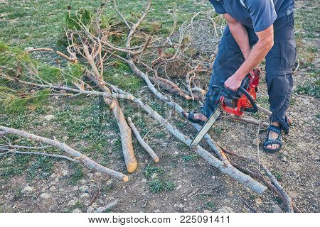 A man is sawing wood with an electric saw. Harvesting firewood for the stove and fireplace.