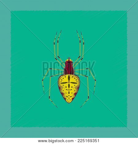 flat shading style illustration of spider Araneus