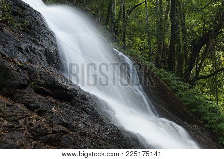 Kondalilla Falls In Kondalilla Falls National Park.