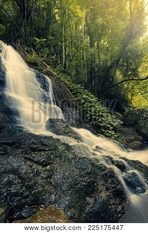 Kondalilla Falls In Kondalilla Falls National Park.