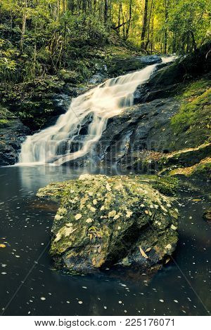 Kondalilla Falls In Kondalilla Falls National Park.