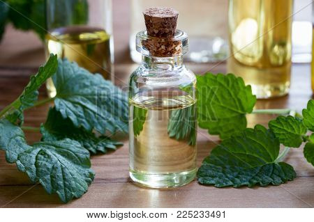 A bottle of melissa (lemon balm) essential oil with fresh melissa twigs and other essential oil bottles in the background