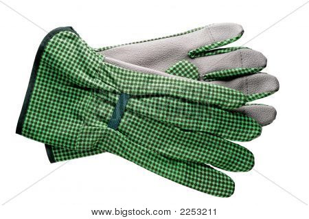 Herramientas de jardinería: guantes