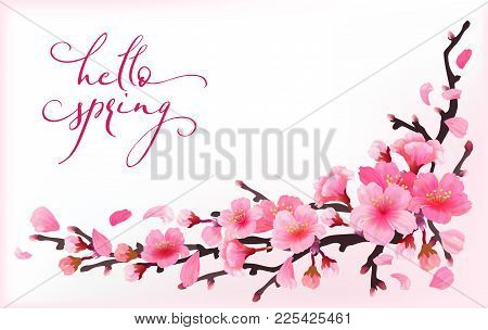 Realistic Sakura Japan Cherry Branch With Blooming Flowers With Text Hello Spring Spring Fresh Pink 