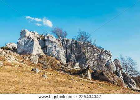 Poland, Podlesice - March 04, 2017: Rock Climbers On Vertical Flat Wall. Gora Zborow Is A Very Popul