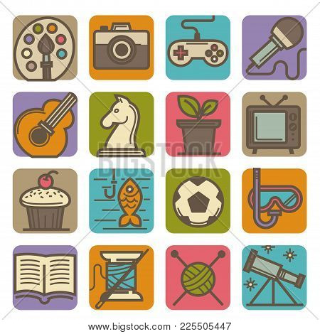 Graphic Art, Intellectual And Computer Games, Tv Programs, Modern Music, Indoor Plant, Cooking Class