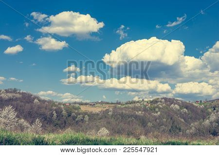 Countryside At Spring Time. Vine Area With Many Hills.