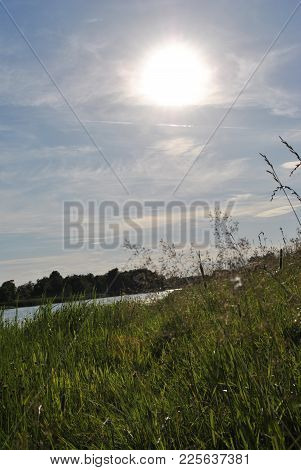 Green Grass In The Bright Sun By The Lake, Summer Day