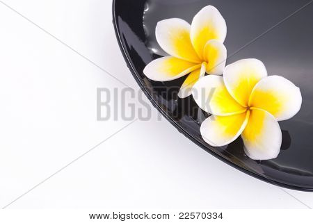 Leelawadee virág a vízben