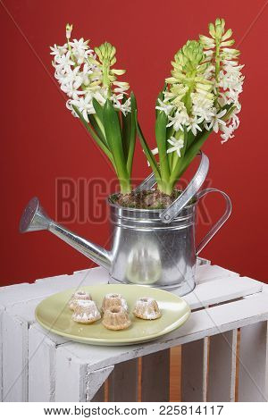 Celicious Small Gugelhupf Cakes On Green Plate In Front Of Blooming Hyazinths