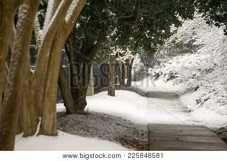 Snow Covered Alley In Park Near City