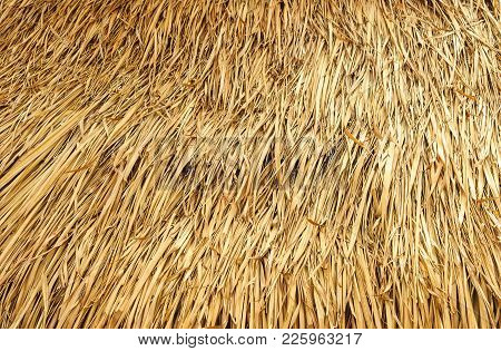 Close-up To Detail Thatched Roof On Background.