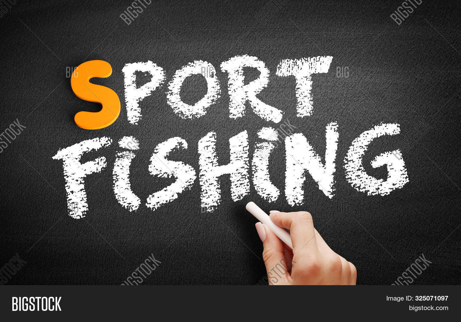 Sport Fishing Text On Image & Photo (Free Trial) | Bigstock
