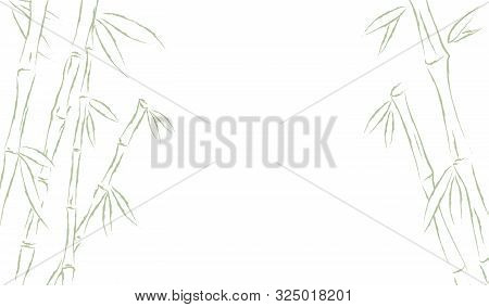 Bamboo Or Sugar Cane Forest Frame Background. Vector Illustration Drawing.
