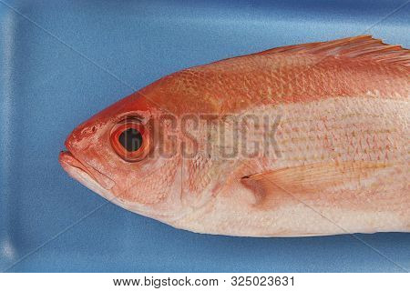 Red Snapper Raw Fish In A Styrofoam Container At The Supermarket. Close Up And Directly Above.