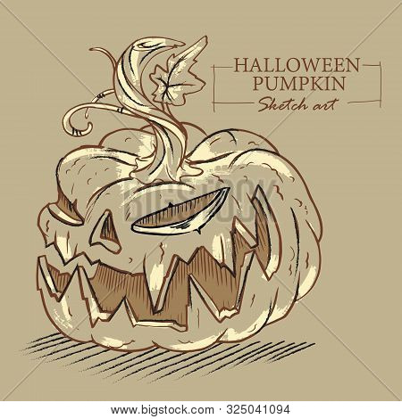 Halloween Cartoon Evil Pumpkin Sketch Illustration On Brown Background. Vector Illustration.