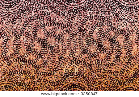 背景所作的二进制数