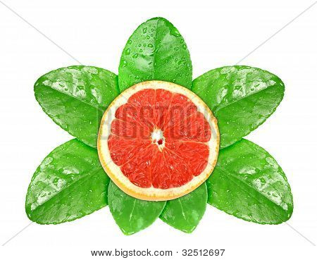 Grapefruit Fruit op groene blad met dauw