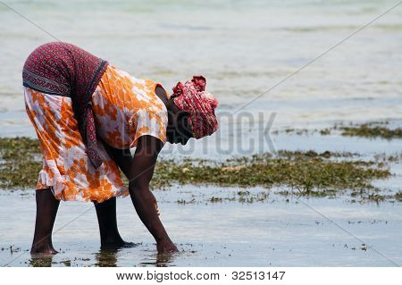 Kvinde i Zanzibar