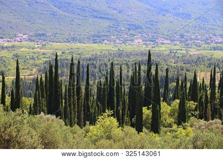 Croatia Landscape With Cypress Trees In Konavle. Mountain Valley Landscape.