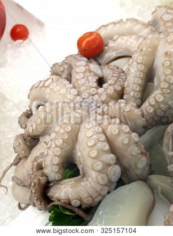 Octopus On Ice In The Stand Of Fishmonger