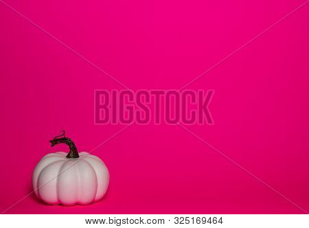 White Thanksgiving Pumpkins On A Pink Background With Room For Text