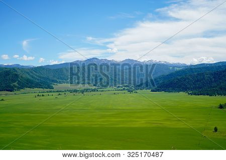 Landscape With Sibirian Altai Mountains And Green Grass Field, And Forest, Blue Sky With Clouds In R