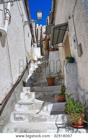 Yolun. Pietramontecorvino. Puglia. İtalya.