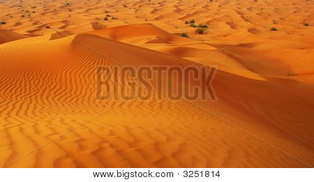 Wüste um Stadt dubai